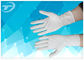 Powder Free Latex Gloves Disposable Medical Surgical Gloves Laboratory Use